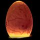 Image for article titled How to Grow a Chicken from Scratch